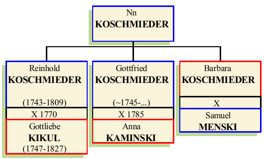 nn-koschmieder.png