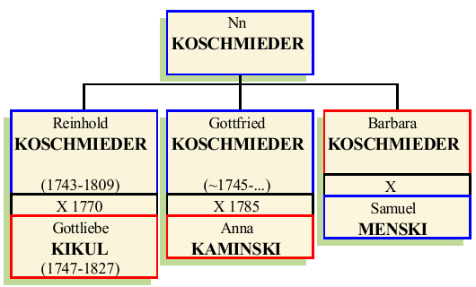 nn-koschmieder.png