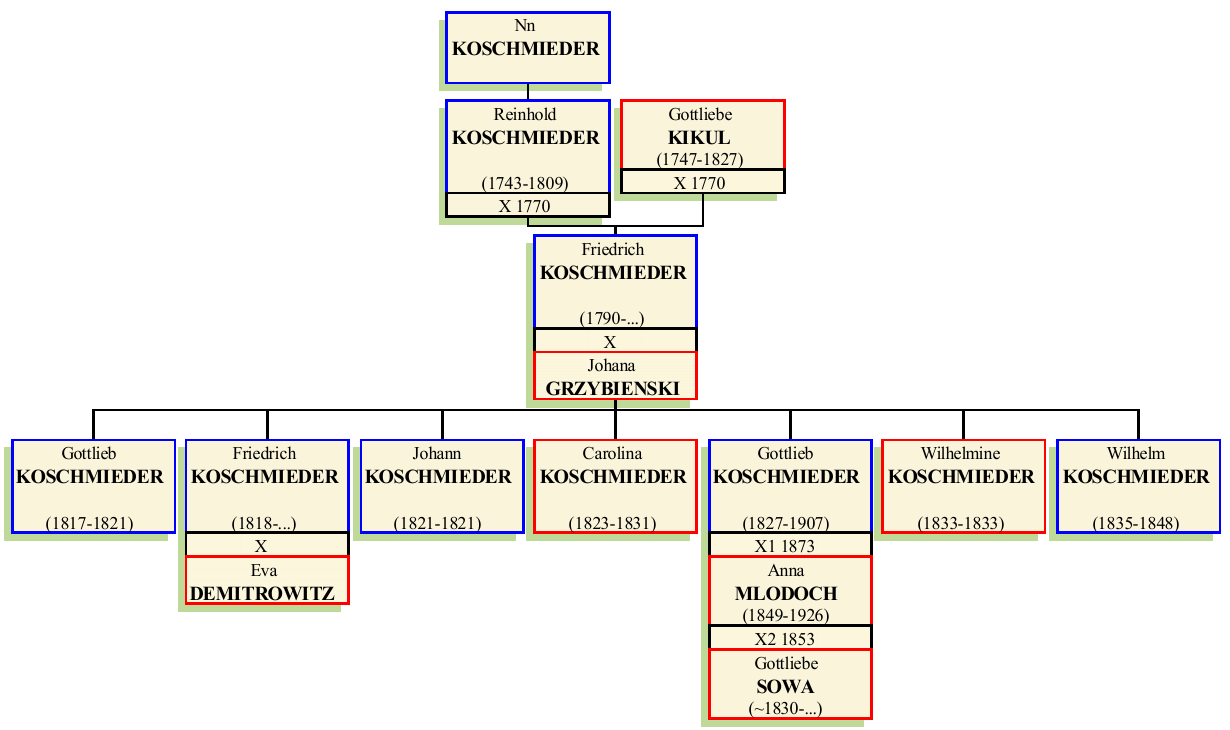 friedrich-koschmieder.png