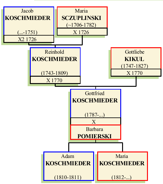 gottfried-II-koschmieder.png