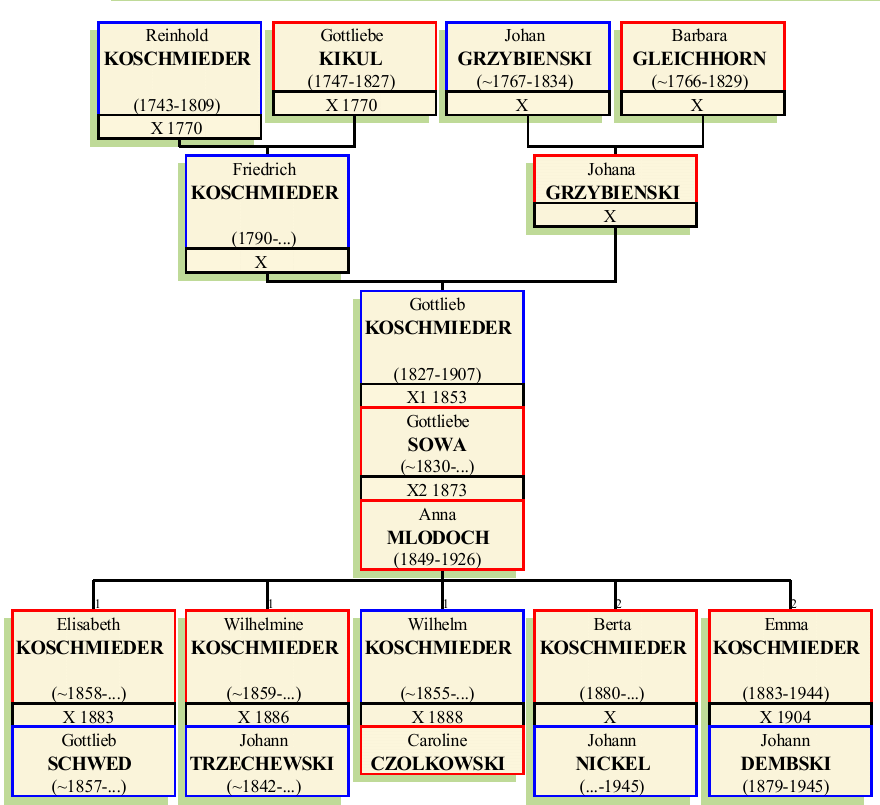 gottlieb-koschmieder.png